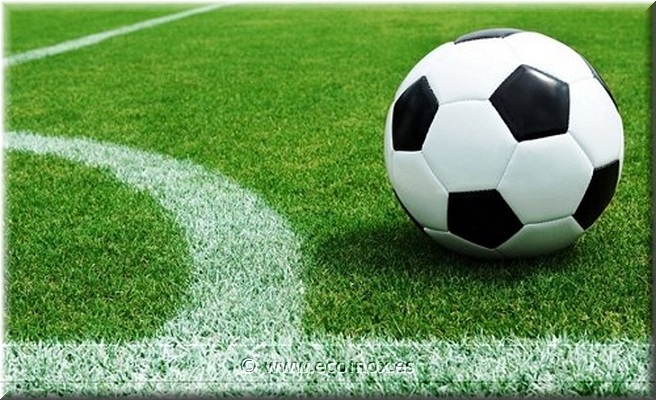 Gespa artificial esportiva