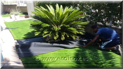 GESPA TRAMUNTANA A PLATJA D’ARO