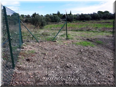 INSTAL·LACIÓ DE TANCA SIMPLE TORSIÓ VERDA AMB PORTA DE VIANANTS AMB OBERTURA CAP A FORA