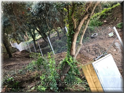 TREBALLS REALITZATS A BEGUR