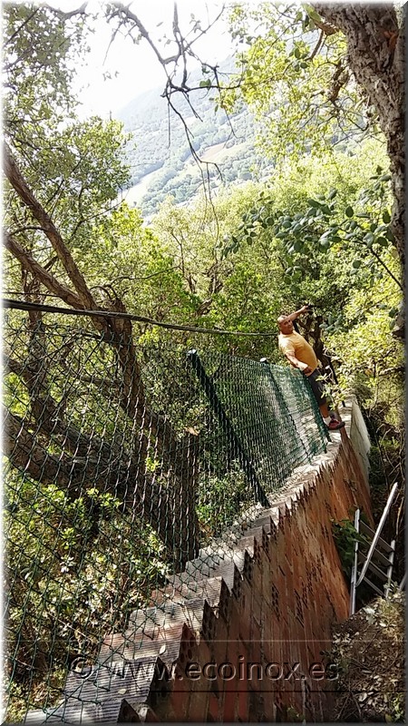 TANCAMENT CONTRA L'ENTRADA DE SENGLARS
