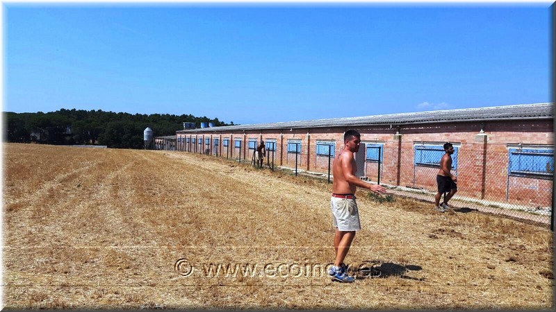 TANCAMENT DE SIMPLE TORSIÓ EN UNA GRANJA