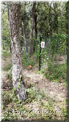 Tancament simple torsió