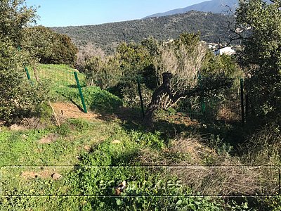 TREBALLS REALITZATS A URBANITZACIO VIZCONDADO DE CABANYES 